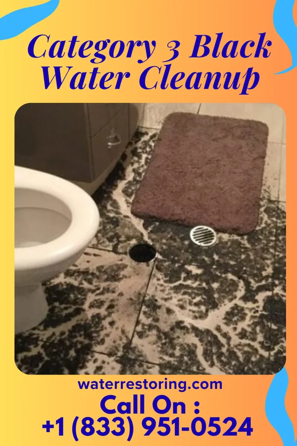 Category 3 Black Water Cleanup in Morganton, GA